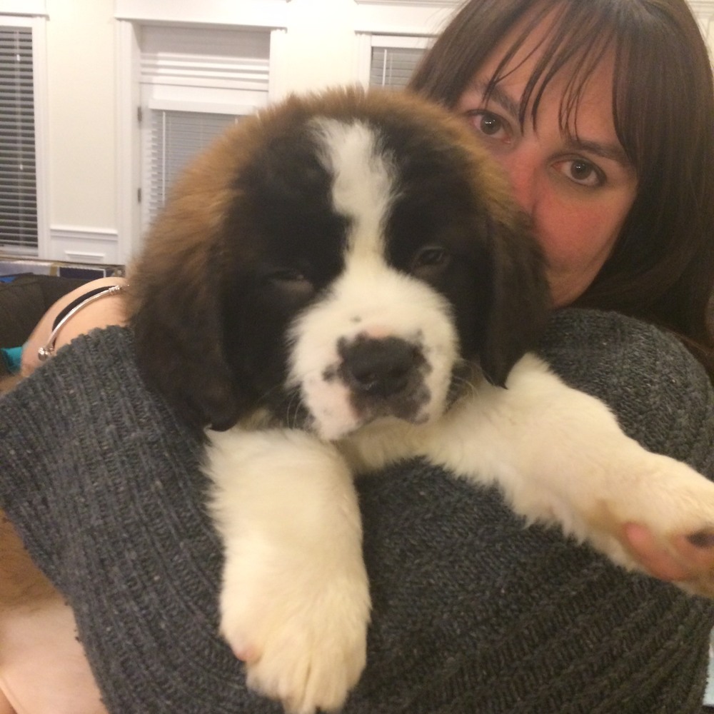 Meet your Posher, Deana